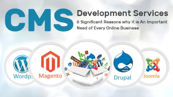 CMS Website Development - Image 4