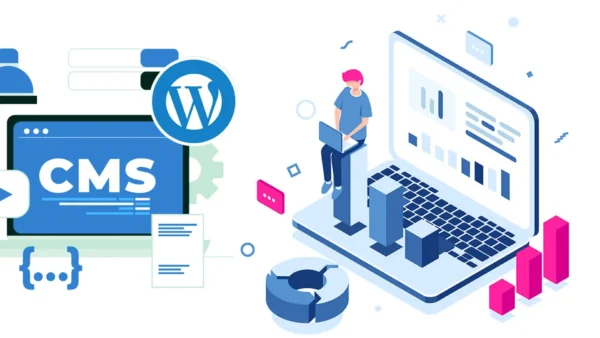 CMS Website Development