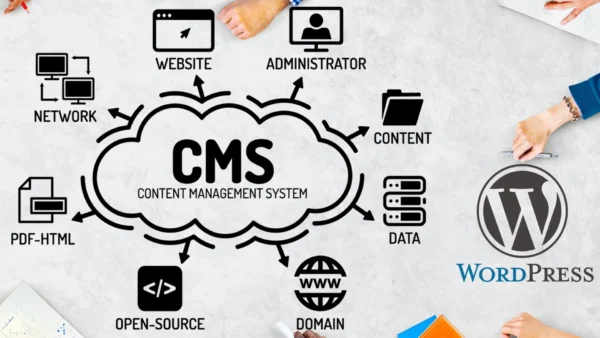 CMS Website Development - Image 2