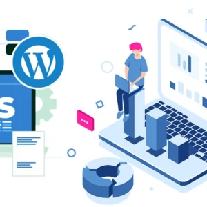 CMS Website Development